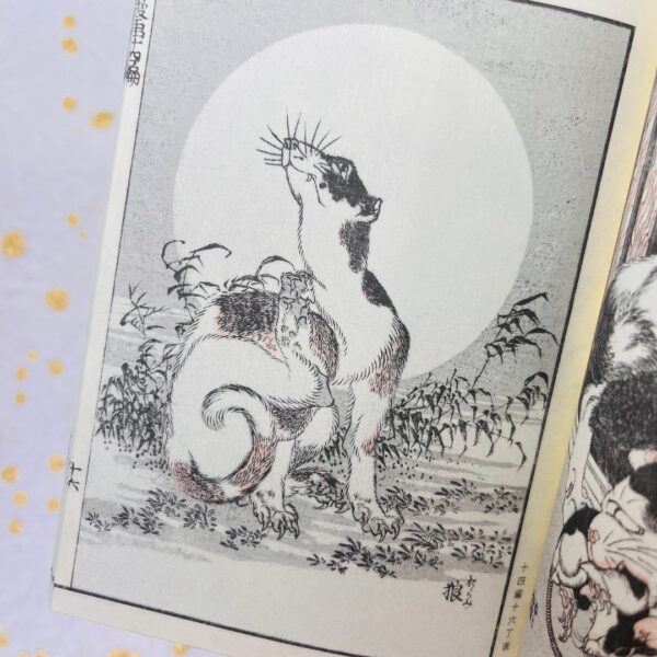 Hokusai Manga Katsushika